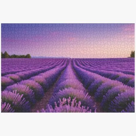Lavender-Farm-1-min